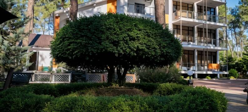 谢科维蒂利布克斯酒店(Buxus Hotel Shekvetili)图片