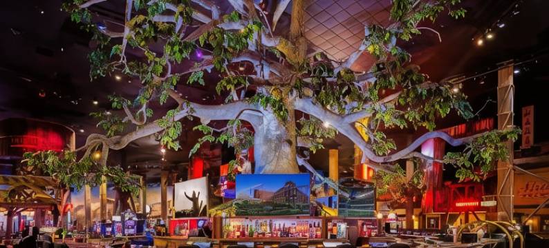 Buffalo Bill's Resort & Casino, a Travelodge by Wyndham图片