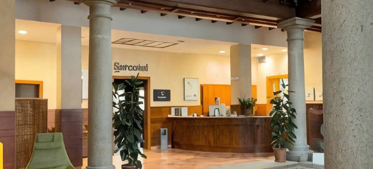塞尔科特托利多雷纳西门图酒店(Sercotel Toledo Renacimiento)图片