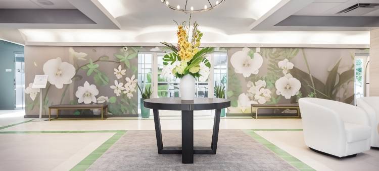 迈阿密海滩伊贝罗斯塔海浪酒店(Iberostar Waves Miami Beach)图片