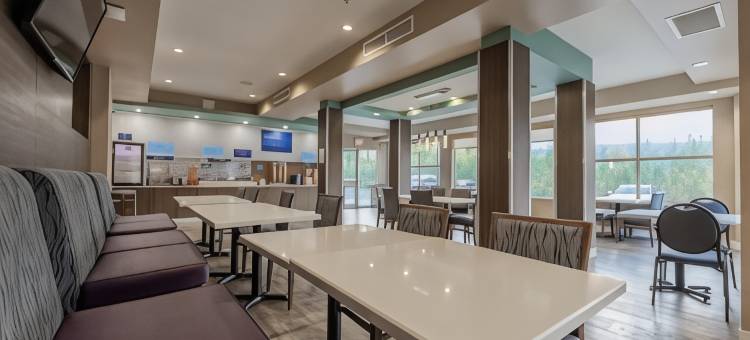 Holiday Inn Express 金(Holiday Inn Express Golden-Kicking Horse)图片