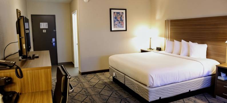 埃芬加姆呗盟套房酒店(Baymont by Wyndham Effingham)图片