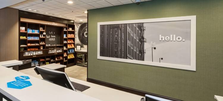 北德卢斯商场区欢朋套房酒店(Hampton Inn & Suites Duluth North/Mall Area)图片