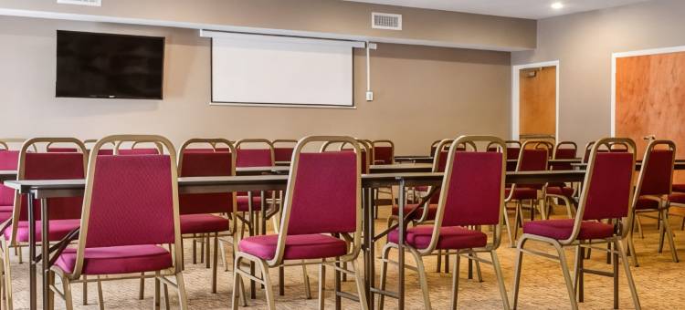 舒适套房酒店-本顿港-圣约瑟(Comfort Suites Benton Harbor - St. Joseph)图片