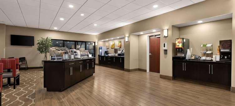 纳什维尔舒适套房酒店(Comfort Suites)图片