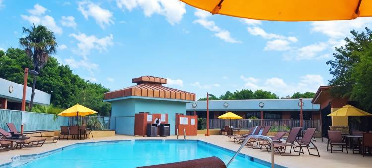 温德姆花园酒店-奥斯汀(Wyndham Garden Austin)图片