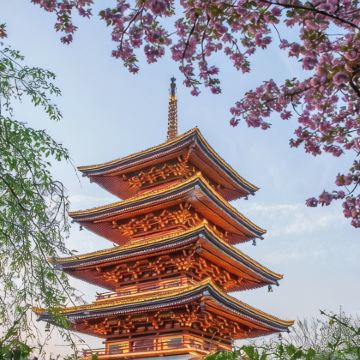 武汉+黄鹤楼+东湖生态旅游风景区+长江三峡+三峡大坝2日1晚跟团游