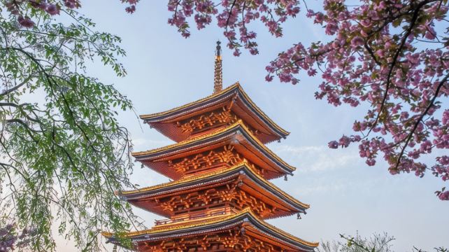 恩施土家族苗族自治州、恩施+10