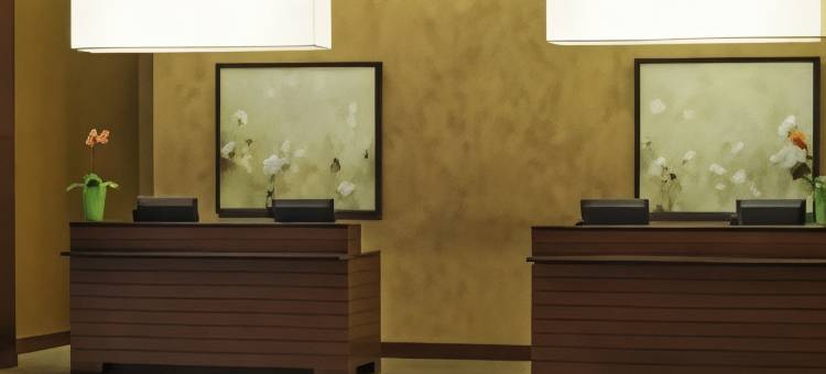 巴尔的摩华盛顿机场威斯汀酒店(The Westin Baltimore Washington Airport - BWI)图片