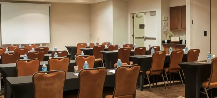 休斯顿布什洲际机场希尔顿花园酒店(Hilton Garden Inn Houston/Bush InterContinental Airport)图片