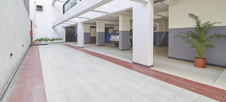 绿橄榄酒店(Hotel Green Olive)图片