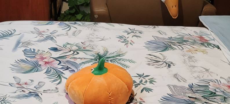 心灵驿站江景马拉松起跑点民宿(晓月路分店)图片