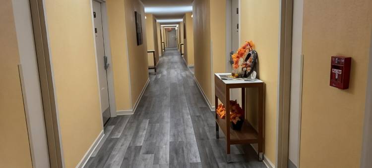 亚祖城伊克诺旅馆(Econo Lodge Yazoo City)图片