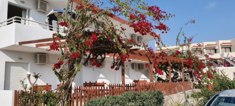 艾琳一室公寓(Irene Studios)图片