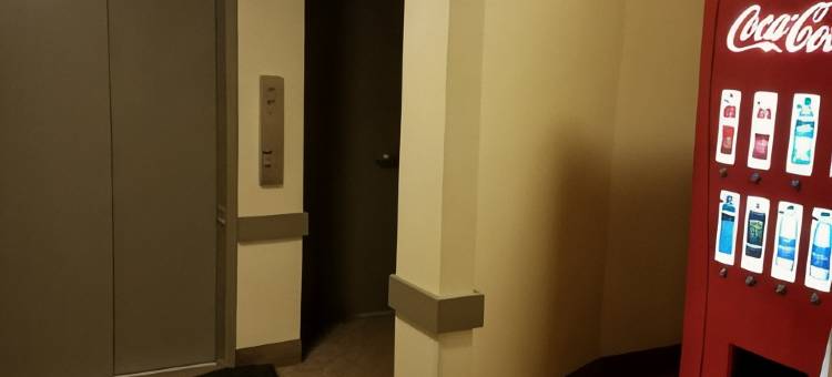 湾畔Travelodge by Wyndham(Travelodge by Wyndham San Francisco Bay)图片