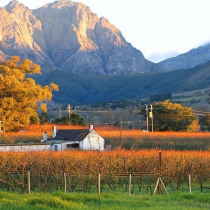 南非12日10晚私家团