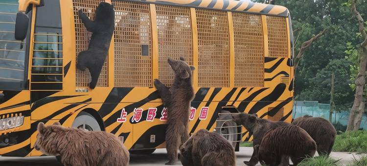 云清逸湾酒店(南汇野生动物园店)图片