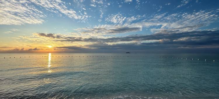 棕榈树湾-海滨;绝美部分海景民宿!(Palm Tree Cove - Stunning Partial Ocean Views; Beachfront Location!)图片