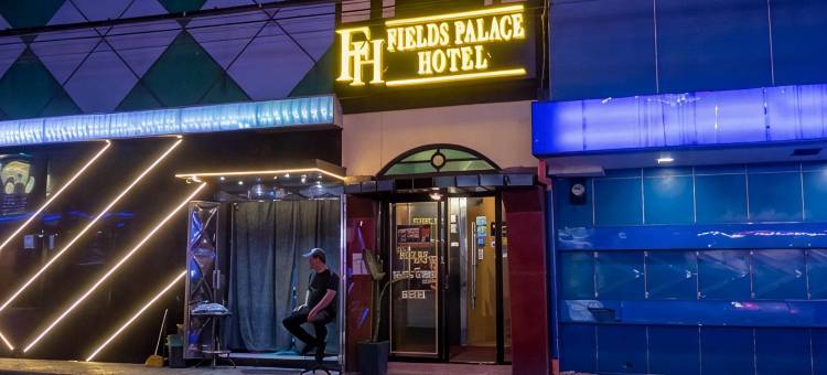 菲尔德斯宫酒店(Fields Palace Hotel)图片