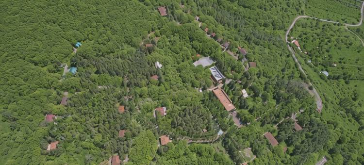 阿弗兰公园度假村酒店(Park Resort Aghveran)图片
