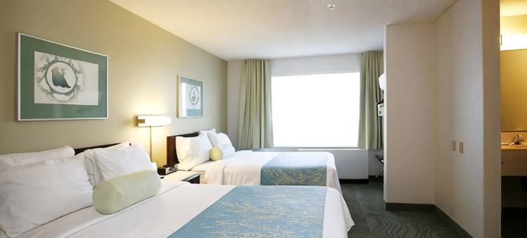 安克雷奇市中心区万豪SpringHill酒店(SpringHill Suites Anchorage Midtown)图片