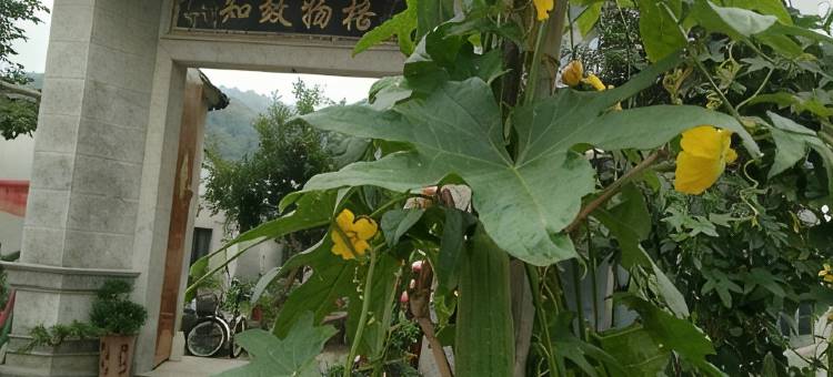 苏州庭悦人家农家乐图片