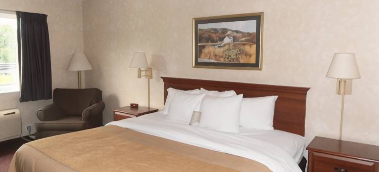 凯艺套房酒店(Quality Inn & Suites)图片