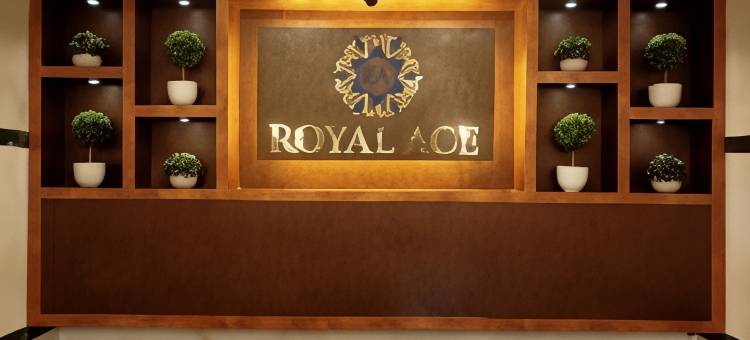 皇家Ace驿站(Royal Ace Stopover)图片