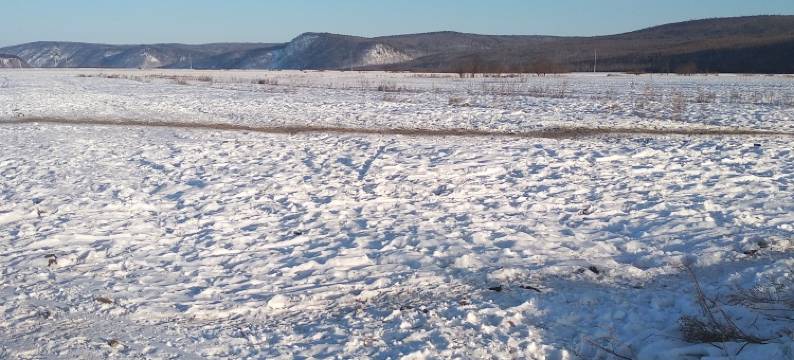 漠河村口人家客栈图片