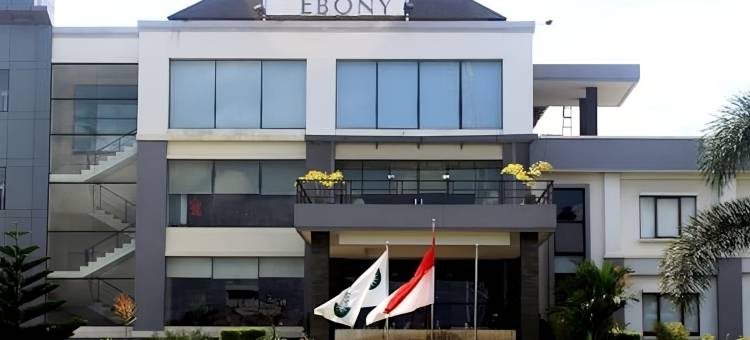 巴杜里京埃博妮酒店(Hotel Ebony Batulicin)图片