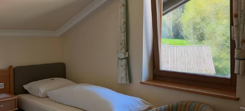 Voglauerhof酒店(Hotel Voglauerhof)图片