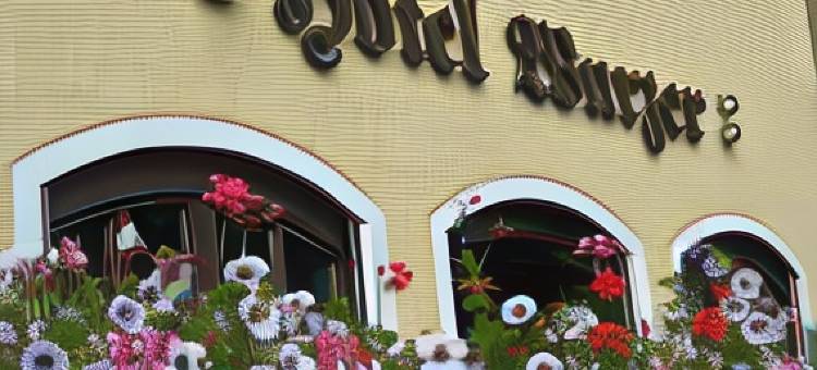 沃泽酒店(Hotel Wurzer)图片