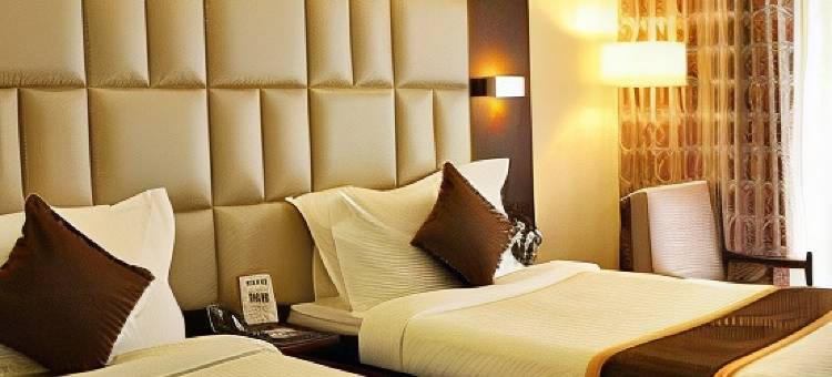 拉姆先生完美酒店(Hotel Shri Ram Excellency)图片