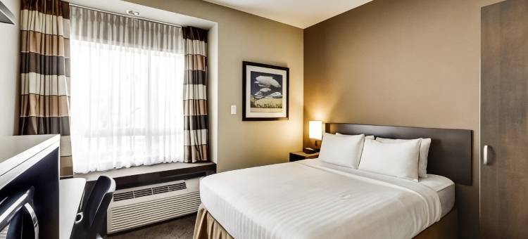 雷德迪尔温德姆套房麦客达酒店(Microtel Inn & Suites by Wyndham Red Deer)图片