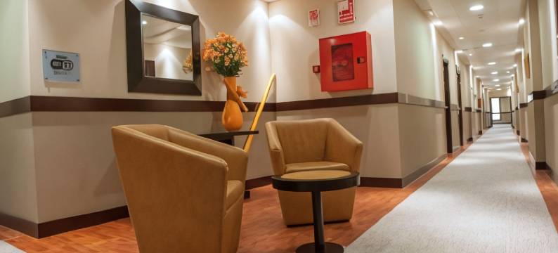 斯考特而恩波利公主酒店(Sercotel Princesa de Eboli)图片