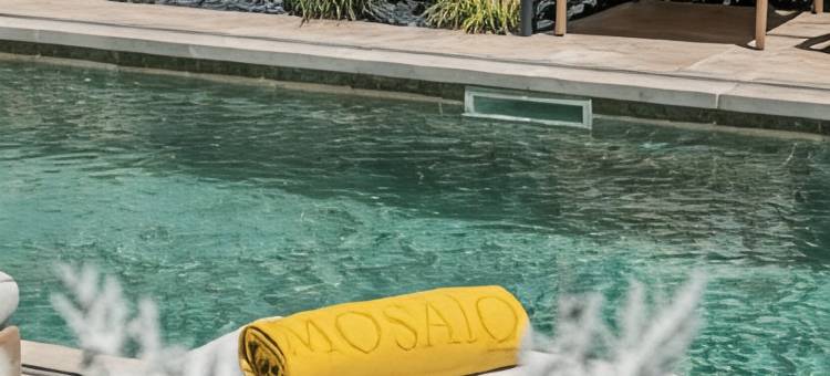 乐莫赛克酒店(Hôtel le Mosaïque)图片