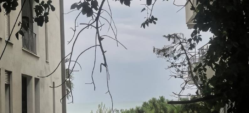 西尔房间(Siar Rooms)图片