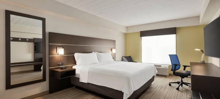 Holiday Inn Express & Suites FT迈尔斯堡东论坛(Holiday Inn Express & Suites FT Myers East- the Forum)图片