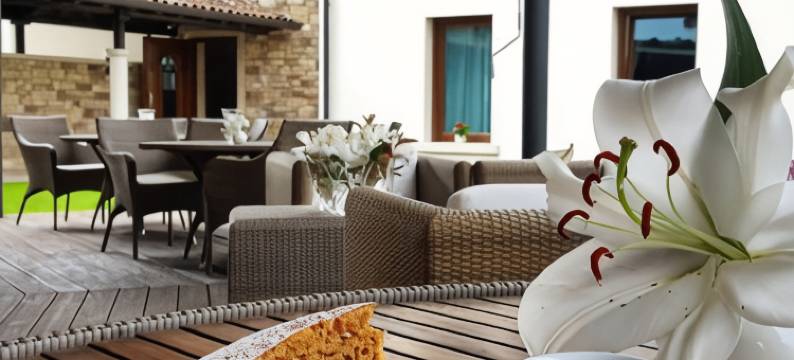 普尔利利乌姆酒店(Hotel Purlilium)图片