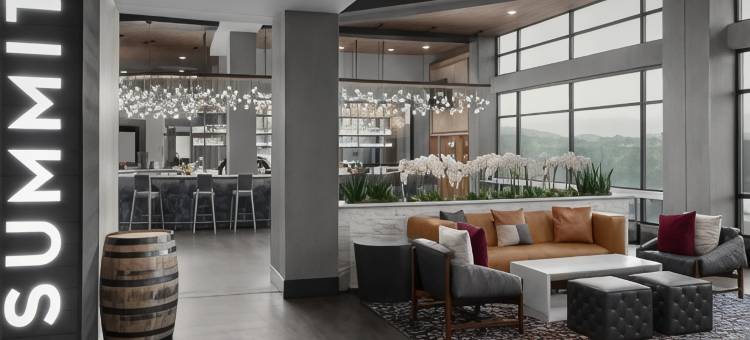 希尔顿大使套房鸽子谷度假村(Embassy Suites by Hilton Pigeon Forge Resort)图片