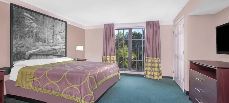 奥斯特尔-六旗温德姆速8酒店(Super 8 by Wyndham Austell/Six Flags)图片