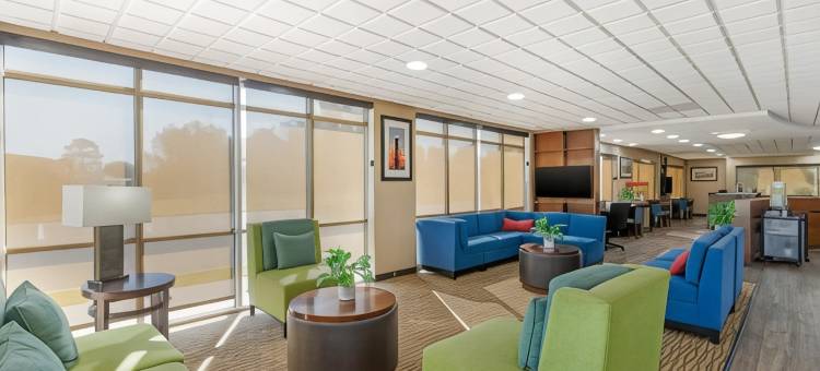 布伦瑞克舒适酒店(Comfort Suites Brunswick)图片