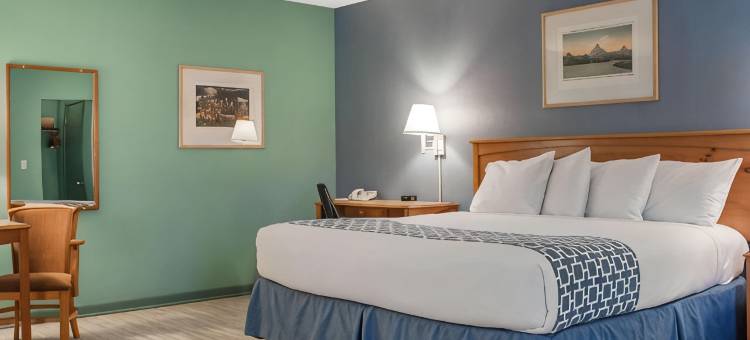 南水牛城伊克诺旅馆酒店(Econo Lodge Buffalo South)图片