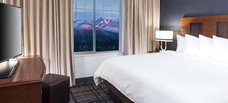 安克雷奇大使套房酒店(Embassy Suites by Hilton Anchorage)图片