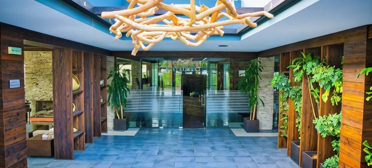 Local Stay Hotel, BW Signature Collection图片