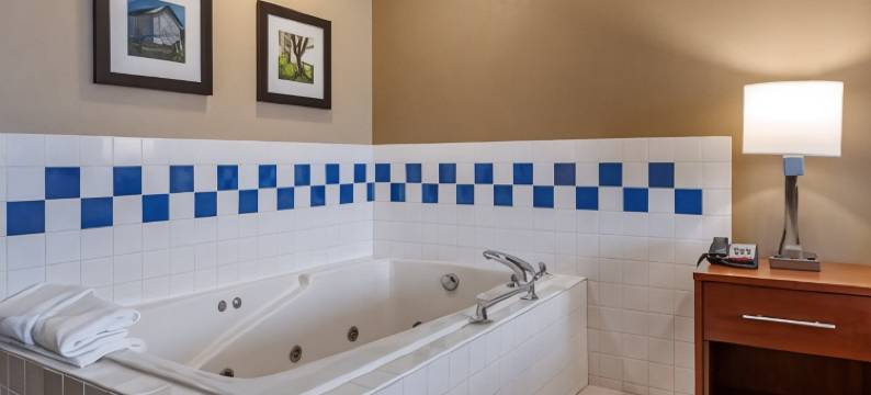 舒适套房酒店(Comfort Inn & Suites Napoleon)图片