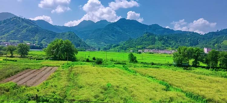 醇香民宿(望仙谷景区店)图片