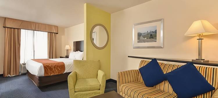 阿米什乡村舒适套房酒店(Comfort Suites Lancaster Amish Country)图片