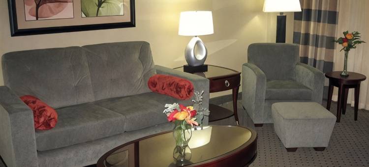 夏洛特Executive Park希尔顿酒店(Hilton Charlotte Executive Park)图片