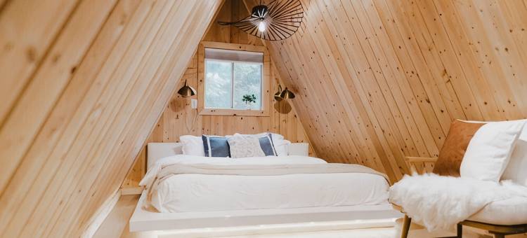 设计师A字形木屋 · 森林热水浴池 · 火盆(Designer A-Frame · Forest Hot Tub · Fire Pit)图片
